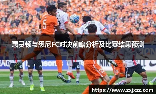 惠灵顿与悉尼FC对决前瞻分析及比赛结果预测